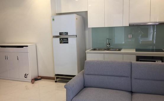 apartment for rent in binh thanh district BT1052244 (1)